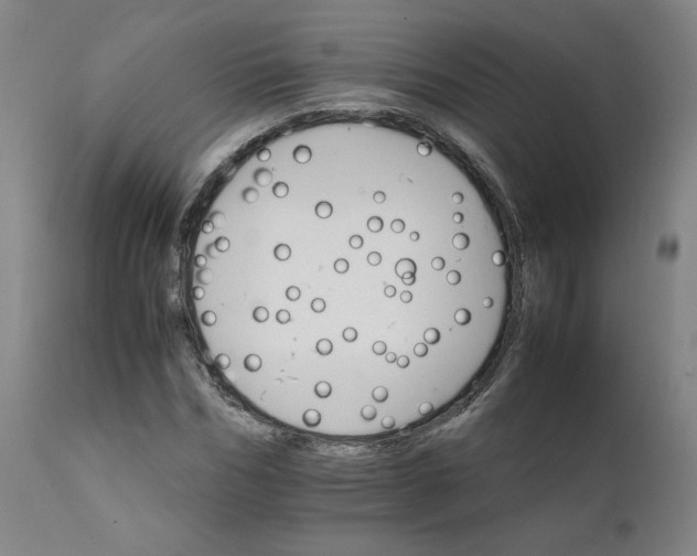 X0000111230970200907161313