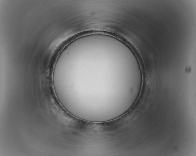 X0000111230971200907161313