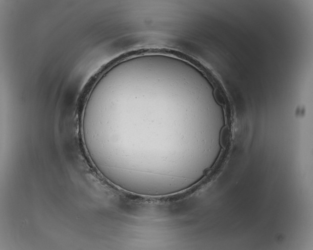 X0000111230973200907161313