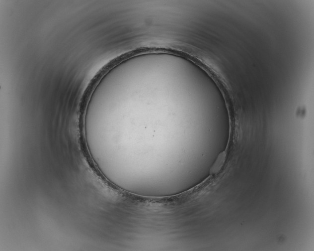 X0000111230976200907161313