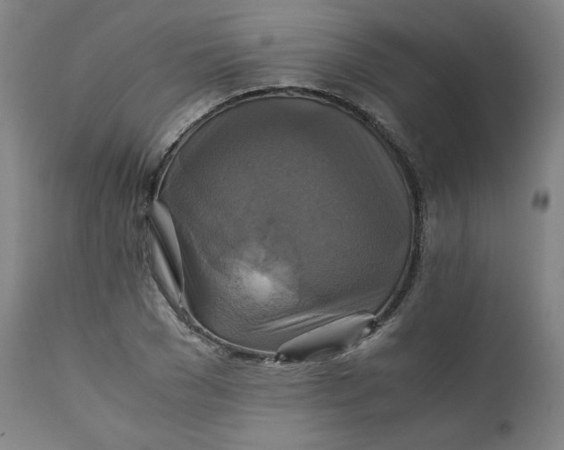 X0000111230977200907161313