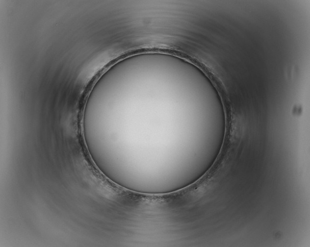 X0000111230978200907161313
