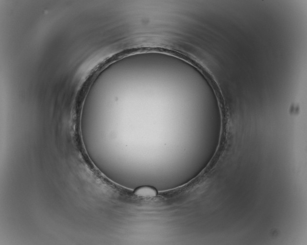 X0000111230979200907161313