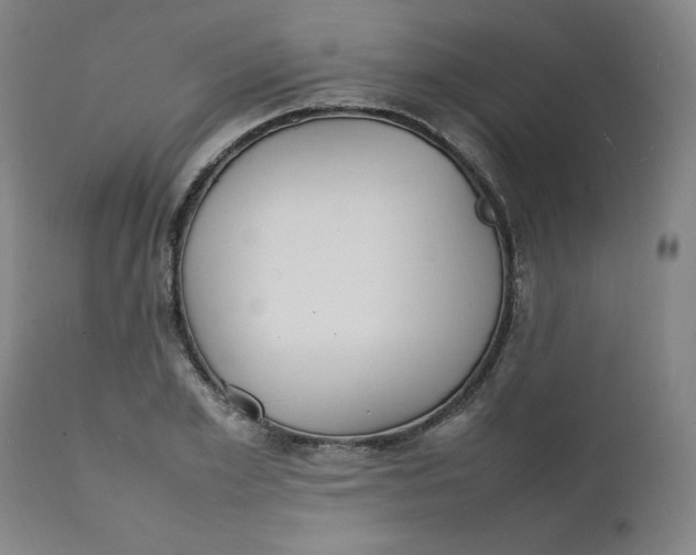 X0000111230981200907161312