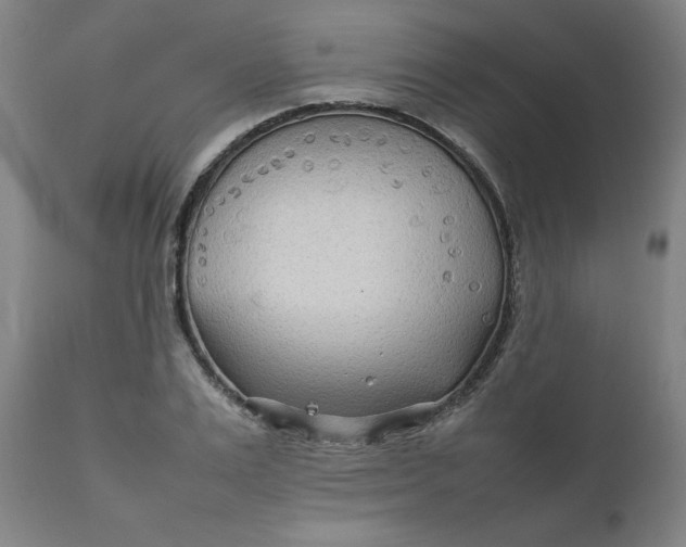 X0000111230983200907161312