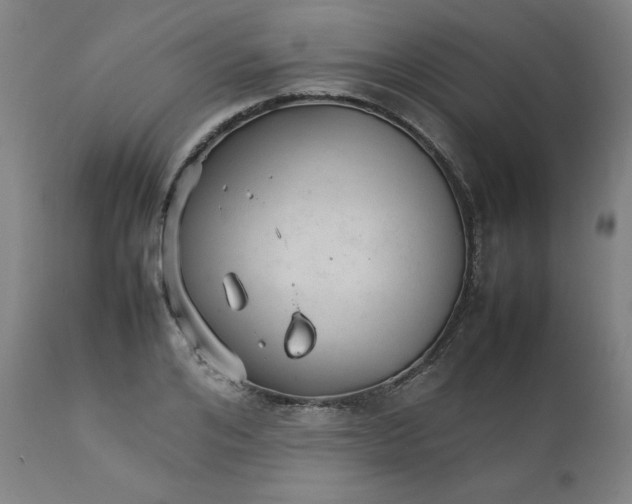 X0000111230984200907161312