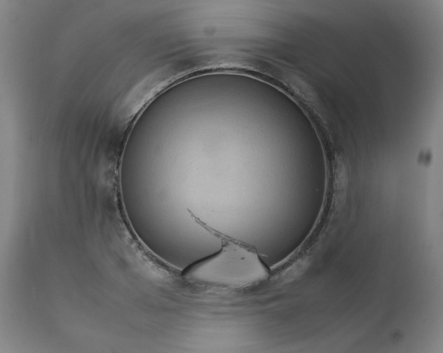 X0000111230985200907161312