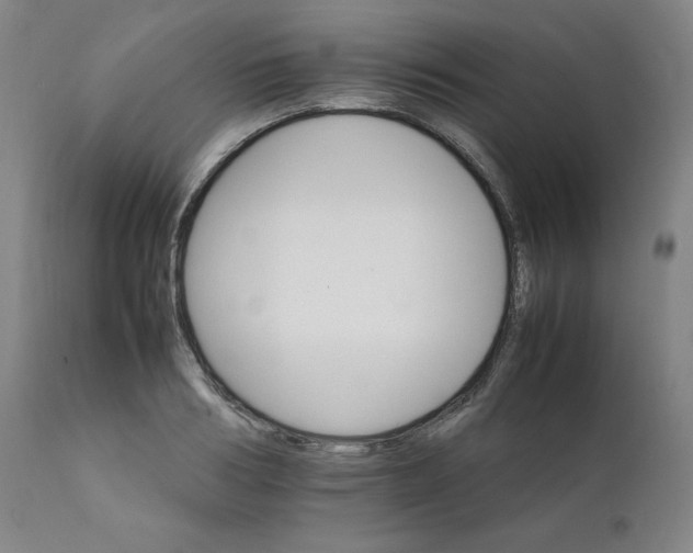 X0000111230986200907161312