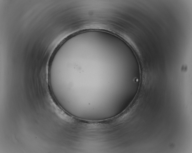 X0000111230988200907161312