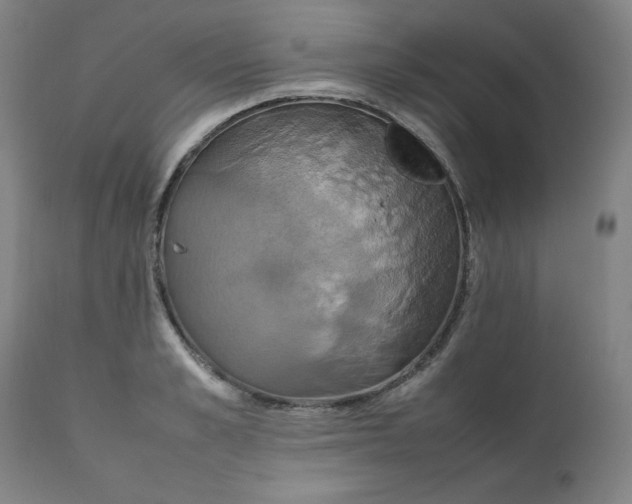 X0000111230989200907161312