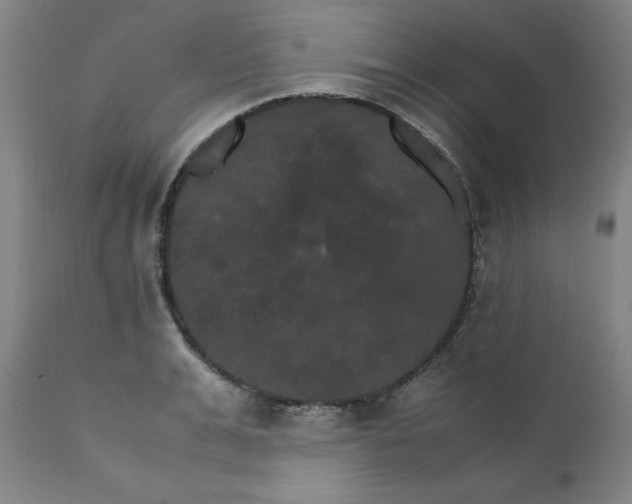 X0000111230991200907161312
