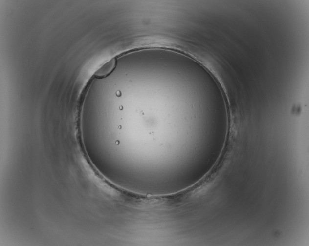 X0000111230997200907161312
