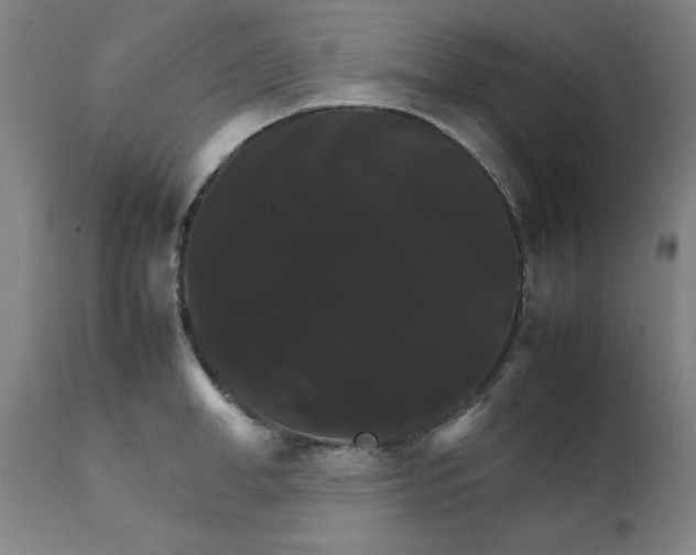X0000111230998200907161312