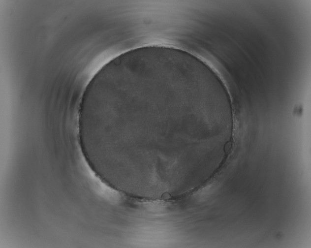 X0000111230999200907161312