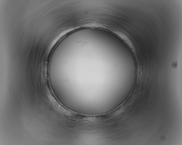 X0000111231000200907161312