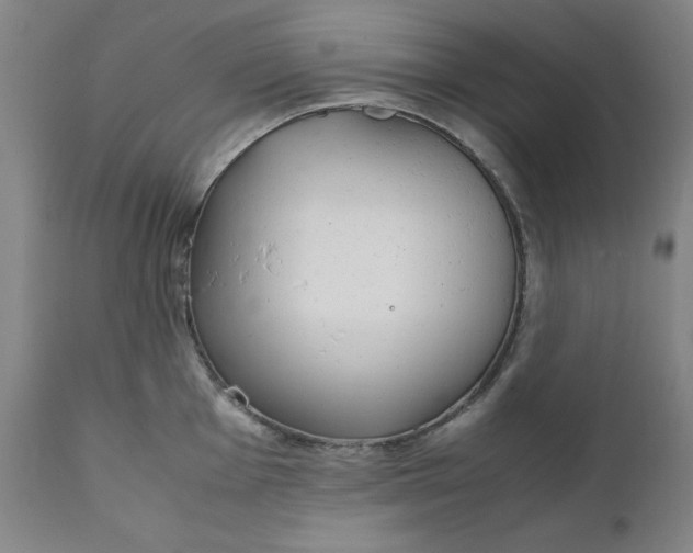 X0000111231001200907161312