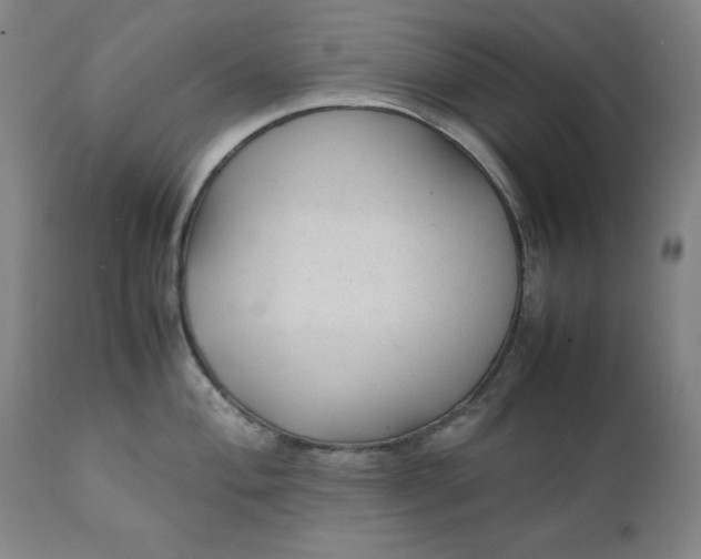 X0000111231004200907161312