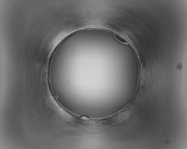 X0000111231005200907161312