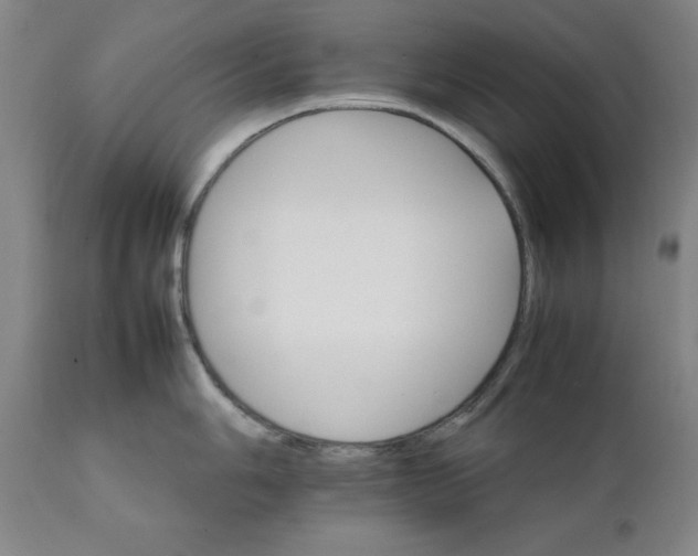 X0000111231006200907161312