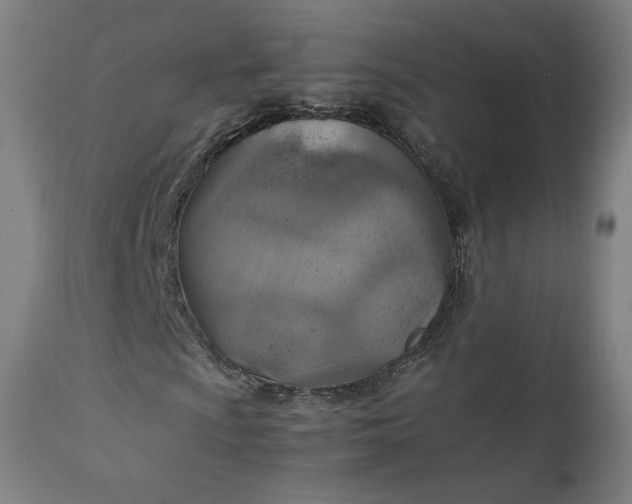 X0000111231009200907161311