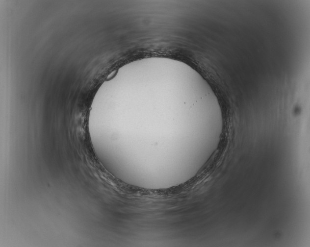 X0000111231010200907161311