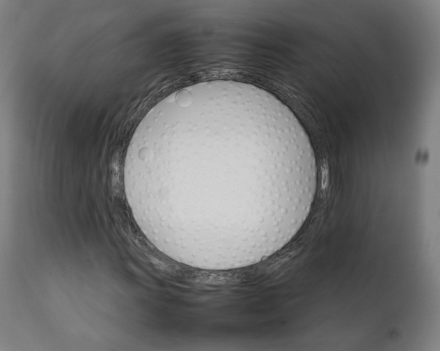 X0000111231011200907161311