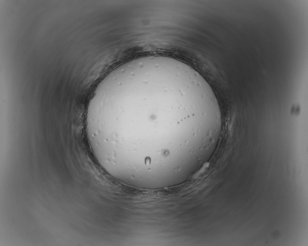 X0000111231012200907161311