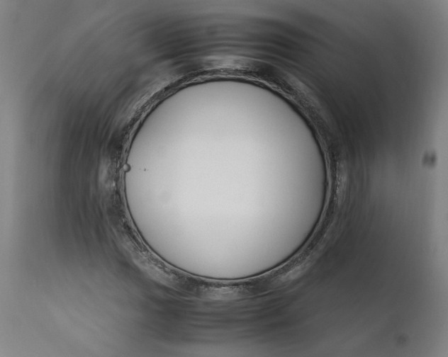 X0000111231017200907161311