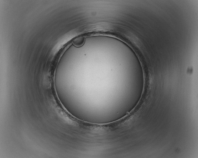 X0000111231018200907161311