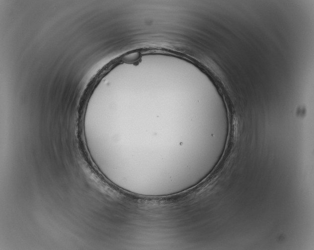 X0000111231020200907161311