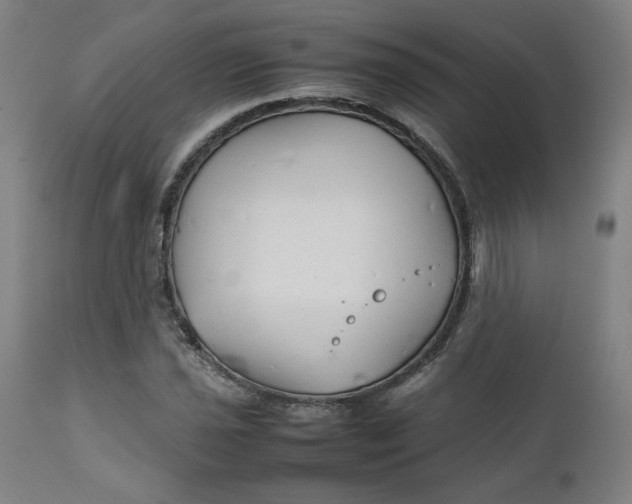 X0000111231021200907161311