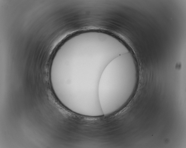 X0000111231023200907161311