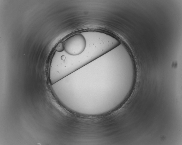 X0000111231026200907161311
