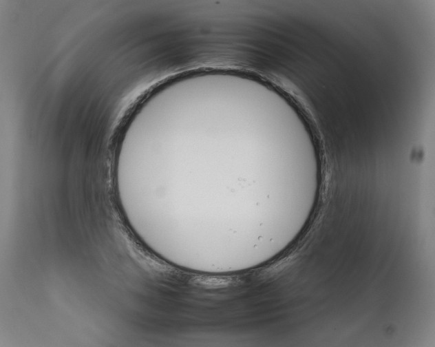 X0000111231027200907161311