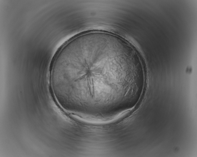 X0000111231028200907161311