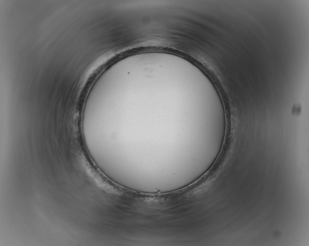 X0000111231029200907161311