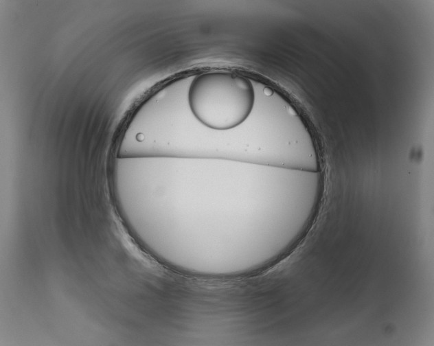 X0000111231030200907161311
