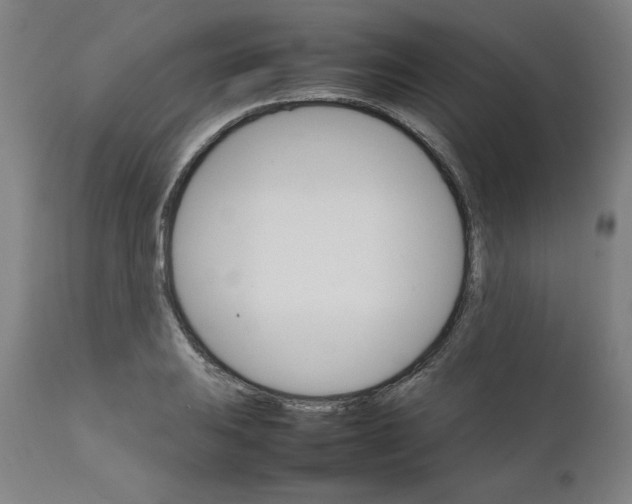 X0000111231031200907161311