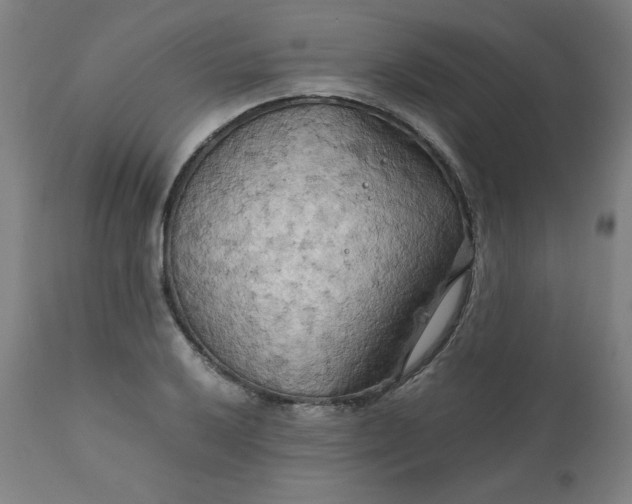 X0000111231032200907161311