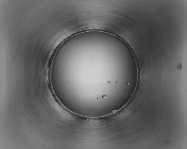 X0000111231034200907161311