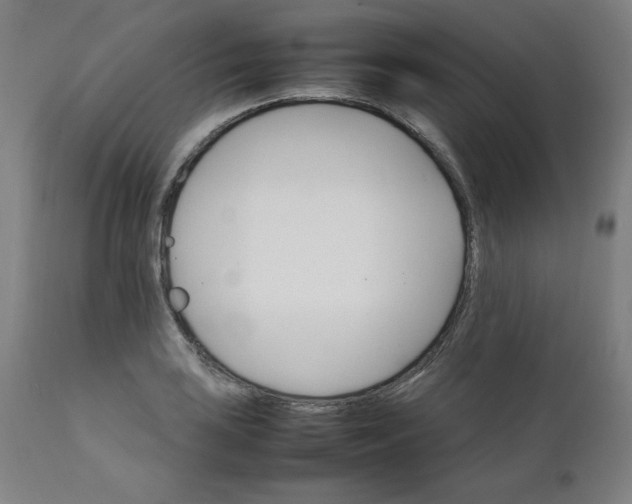 X0000111231035200907161311