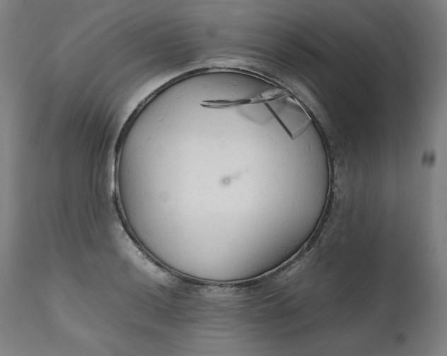 X0000111231036200907161311