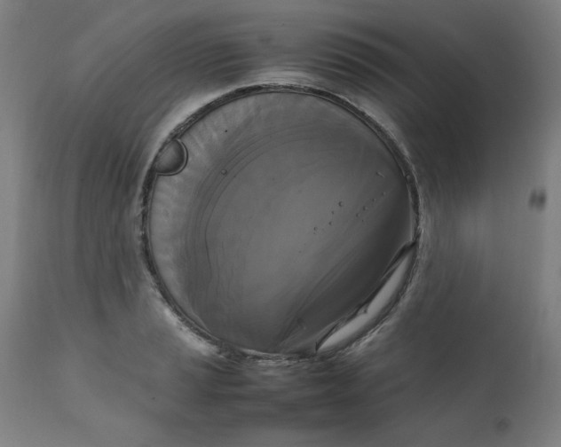 X0000111231037200907161311