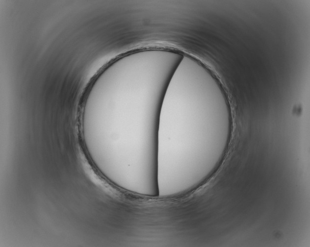 X0000111231038200907161311