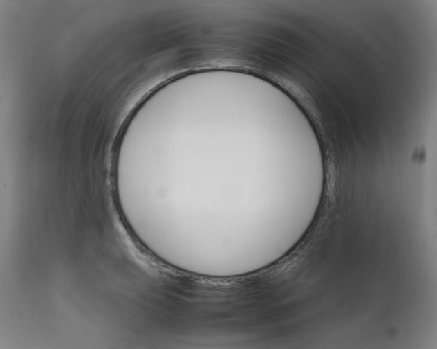 X0000111231039200907161312