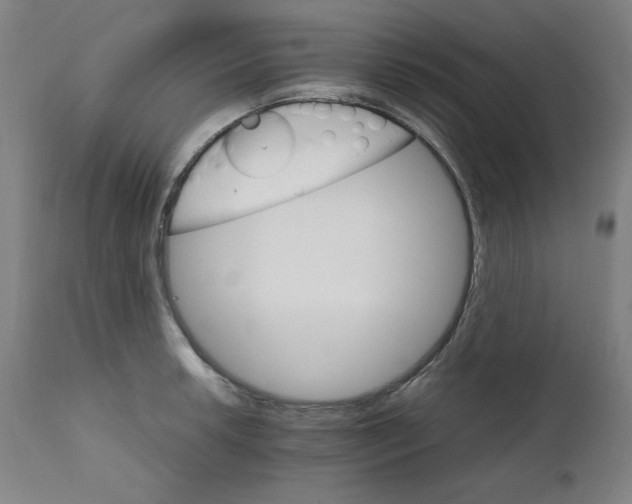 X0000111231042200907161312