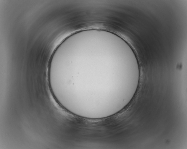 X0000111231047200907161312
