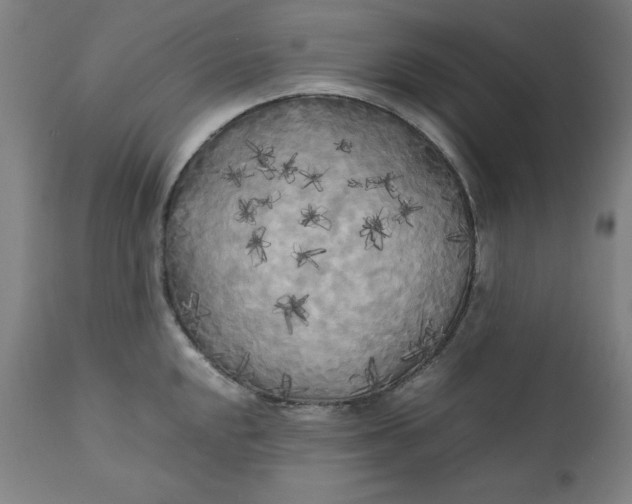 X0000111231048200907161312