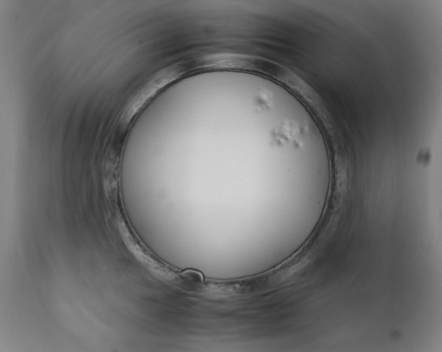 X0000111231049200907161312
