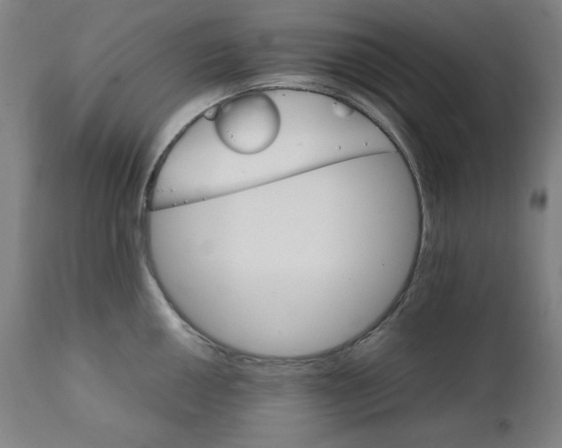 X0000111231050200907161312